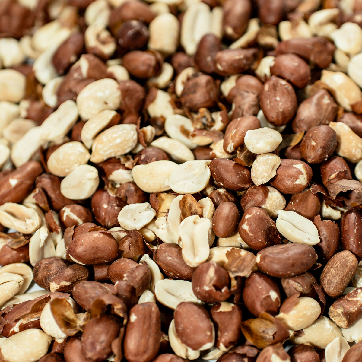 Roasted Peanuts Natural Salted / Unsalted - Nuteroo.com - Nuts and more online store